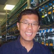 Neil Chi